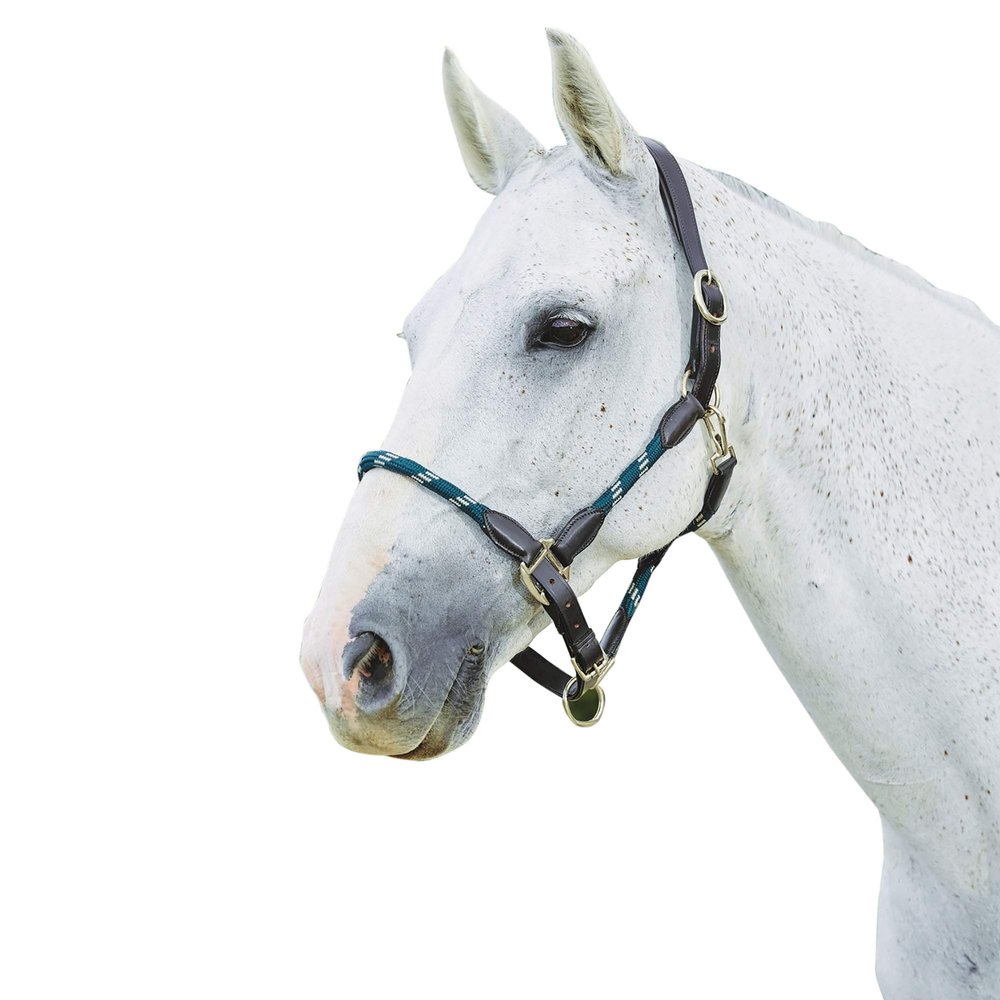 Kincade Leather Rope Halter, Hunter Green/Brown, Cob