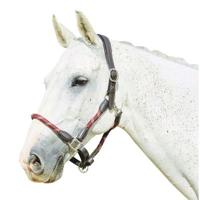Kincade Leather Rope Halter, Burgundy/Brown, Cob
