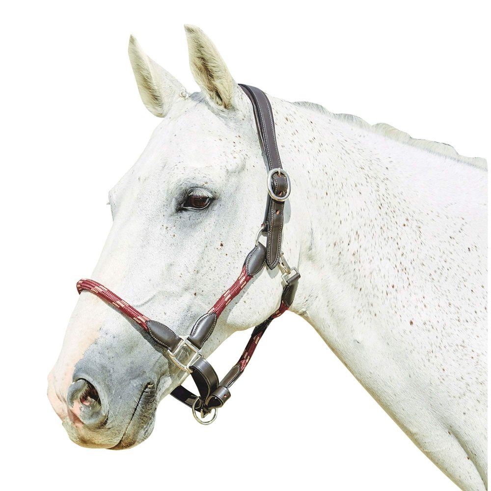 Kincade Leather Rope Halter, Burgundy/Brown, Cob