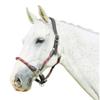 Kincade Leather Rope Halter, Burgundy/Brown, Cob view 1