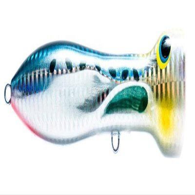 Nomad Design Chug Norris Topwater Popper Lure Collection Floating Offshore Saltwater Surface Fishing Plug, 120mm, 4.75", 1-1/2oz, Sardine