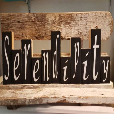 Serendipity Blocks Black Set of Eleven Wood Shelf Sitter Blocks