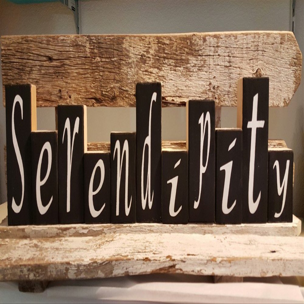 Serendipity Blocks Black Set of Eleven Wood Shelf Sitter Blocks