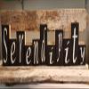 Serendipity Blocks Black Set of Eleven Wood Shelf Sitter Blocks view 1