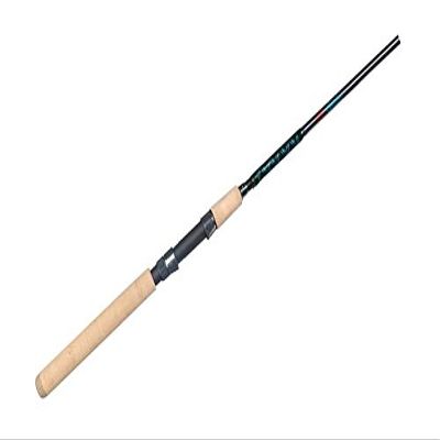 Falcon Coastal Clearwater Jerkbait Inshore 7' Med-HVY, Spinning