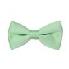Tuxedo Park Satin Bow Tie (Mens, Mint) view 1