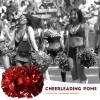 VGEBY Cheerleading Pom Poms, Plastic Cheer Pom Poms Sports Dance Cheer for Cheering(Red+Gold) Cheerleading Pom Poms Cheer Poms Cheer Poms Pom Poms Cheer view 2