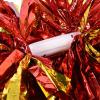 VGEBY Cheerleading Pom Poms, Plastic Cheer Pom Poms Sports Dance Cheer for Cheering(Red+Gold) Cheerleading Pom Poms Cheer Poms Cheer Poms Pom Poms Cheer view 4