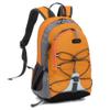 10L Small Hiking Backpack for Kids Ages 3-6 Girls Boys Under 4 feet, Mini Waterproof Outdoor Sport Travel Camping Daypack (Orange) view 1
