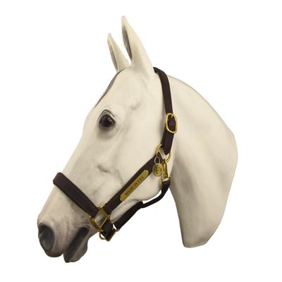 Horse Fare Products Brown Comfy Padded Leather Halter with Solid Brass Hardware & Customized Nameplate- Made in The USA (Cobb)