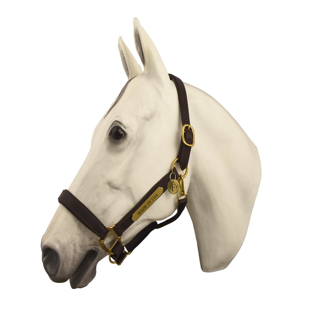 Horse Fare Products Brown Comfy Padded Leather Halter with Solid Brass Hardware & Customized Nameplate- Made in The USA (Cobb)