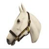 Horse Fare Products Brown Comfy Padded Leather Halter with Solid Brass Hardware & Customized Nameplate- Made in The USA (Cobb) view 1