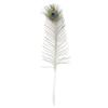 Peacock Feather Eyes Natural - 25-35"-12pcs view 4