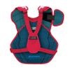 Easton Pro x Catcher Chest Protector Pro-X Cp INT RD/Sl, Red/ Silver, Intermediate view 2