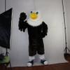 Black Eagle White head Cartoon Costume Mascot Plush with Mask for Adult Cosplay Party Halloween Dress Up view 2