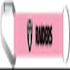aminco NFL Oakland Raiders Carabiner Lanyard Keychain, Pink, 5 view 1