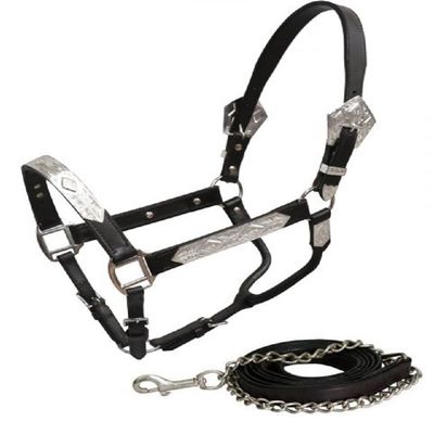 Showman Average Horse Dark Oil Leather Silver Diamond Show Halter 6' Chain Lead