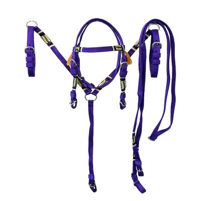 Equitem Pony Size Nylon Headstall and Breast Collar Set with Rawhide Accents (Purple)