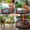 Leaps & ReBounds: Rebounder - Fitness Trampoline - Full-Size Protective Mat - Minimal Joint Impact - High-Calorie Burn - Improve Cardio, Balance, and Physical Strength view 3