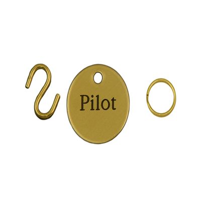 Customized Solid Brass Bridle Halter Tag- 1" Disc