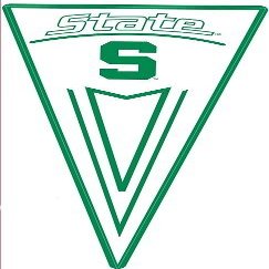 12 Inch MSU Pennant Flag Decal Spartans Logo Removable Wall Sticker Art NCAA Home Room Decor 12 by 6 Inches