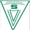 12 Inch MSU Pennant Flag Decal Spartans Logo Removable Wall Sticker Art NCAA Home Room Decor 12 by 6 Inches