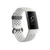 Fitbit Charge 3 SE Fitness Activity Tracker Graphite/White Silicone, One Size (S and L Bands Included),1 Count (Pack of 1) view 1