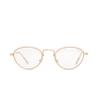 EVEE 90s Contemporary Super Slim Oval Round Metal with Cosmetic Tint Lenses (Wilder) (Rose Gold/Clear Lens)