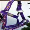 Equitem 2 Ply Nylon Pony Halter with Design Accent (Purple) view 2