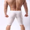 BRAVE PERSON Men's Fashion Breathable Mesh Elastic Training Shorts Swim Trunks Beach Pants 2240 (L / 30"-35", 002 White) view 4