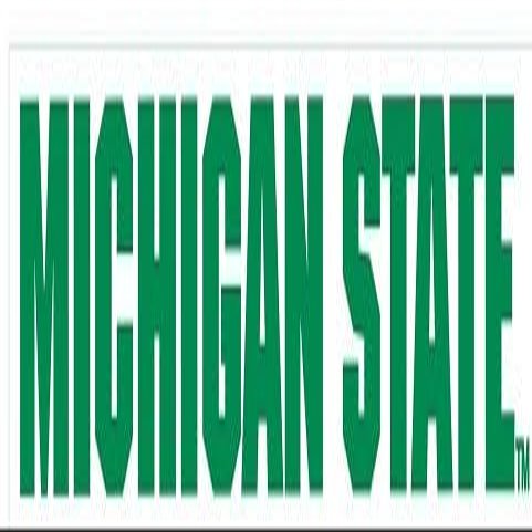 8 Inch Michigan State Decal MSU Logo Removable Wall Sticker Art NCAA Home Room Decor 8 1/2 by 1 1/2 Inches