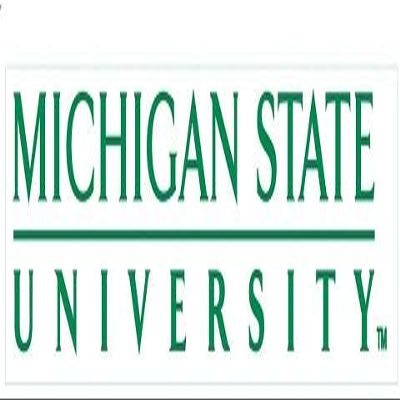 6 Inch MSU Decal Spartans Logo Removable Wall Sticker Art NCAA Home Room Decor 6 by 1 1/2 Inches