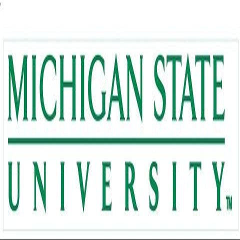 7 Inch MSU Decal Spartans Logo Removable Wall Sticker Art NCAA Home Room Decor 7 by 2 Inches