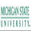 7 Inch MSU Decal Spartans Logo Removable Wall Sticker Art NCAA Home Room Decor 7 by 2 Inches view 1