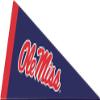 12 Inch Pennant Flag Decal University of Mississippi Ole Miss U of M Logo MS Removable Wall Sticker Art NCAA Home Room Decor 12 by 6 1/2 Inches view 1