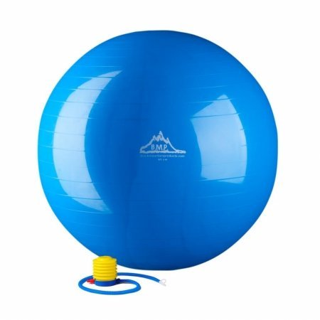 HWR 2000 lbs Static Strength Exercise Stability Ball with Pump44; Red - 65 cm
