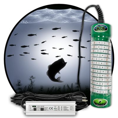Green Blob Outdoors New Fishing Light (White) Underwater, w/ 30ft Cord, LED, 7500 Lumen,Crappie, Snook, (7,500 3-Prong Plug, White) Made in Texas