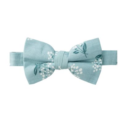 Spring Notion Boys' Cotton Floral Bow Tie 14-Blue M