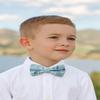 Spring Notion Boys' Cotton Floral Bow Tie 14-Blue M view 3
