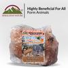 Himalayan Nature Animal Licking Pink Salt Rock Lick Deer, 5 Pound, Natural Mineral Block, Hand-Carved, Ideal for Wildlife, Hunting, Photography, Health view 2