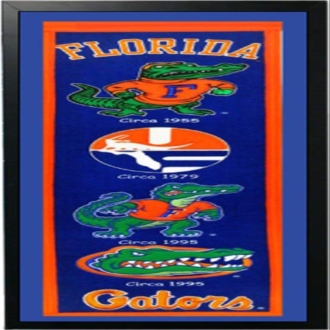 University of Florida Logo History Felt Banner 14 x 37