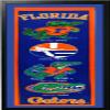 University of Florida Logo History Felt Banner 14 x 37 view 1