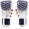 Fairtex BGV1 Muay Thai Boxing Training Sparring Gloves for Men, Women, Kids| Premium Quality, Light Weight & Shock Absorbent 8 oz Boxing Gloves -USA view 2