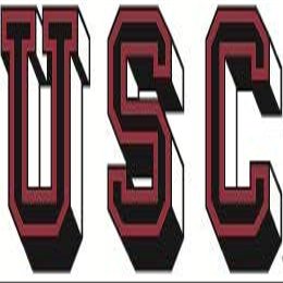 3 Inch USC Logo Decal University South Carolina Gamecocks SC Removable Wall Sticker Art NCAA Home Room Decor 3 1/2 by 1 Inches
