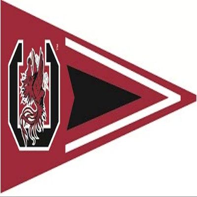 9 Inch USC Pennant Flag Logo Decal University South Carolina Gamecocks SC Removable Wall Sticker Art NCAA Home Room Decor 9 by 3 1/2 Inches