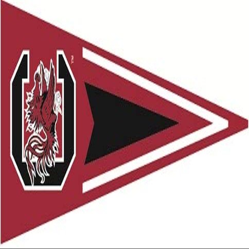 9 Inch USC Pennant Flag Logo Decal University South Carolina Gamecocks SC Removable Wall Sticker Art NCAA Home Room Decor 9 by 3 1/2 Inches