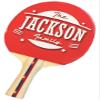 Infusion Custom Design Ping Pong Paddle, Premium 5 Ply Direct Imprint Personalization on Table Tennis Racket view 1