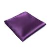 fortunatever Mens Solid Satin Pocket Square(Plum Purple) view 1