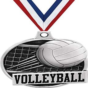 1.5" Volleyball Medal - Silver Volleyball Net Challenger Award Medals 100 Pack Prime