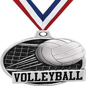 1.5" Volleyball Medal - Silver Volleyball Net Challenger Award Medals 100 Pack Prime